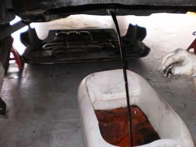 P3250592.JPG (482.33 KiB) Zobrazeno 99059 krát P3250592.JPG